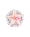 STARWISE COLLECTION POP GRIP | OCEAN HUGGER