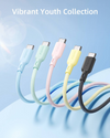 INNOSTYLE PowerNova 60w Youth USB-C to USB-C cable